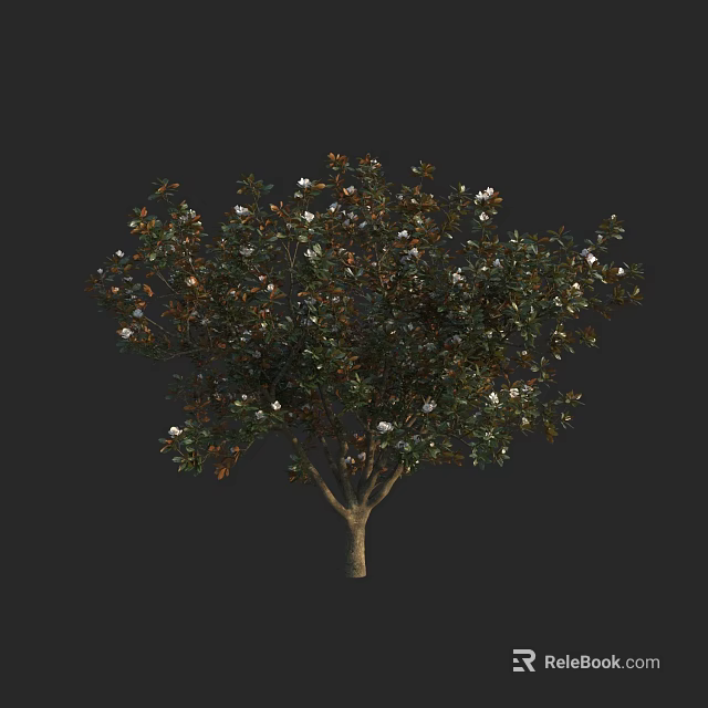 Lush Arbor With Brown Trunk Green Leaves And White Flowers On Dark Background 3d model 