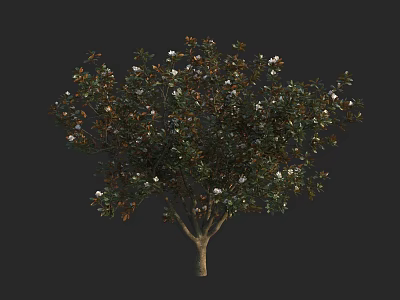 Lush Arbor With Brown Trunk Green Leaves And White Flowers On Dark Background 3d model
