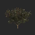 Lush Arbor With Brown Trunk Green Leaves And White Flowers On Dark Background