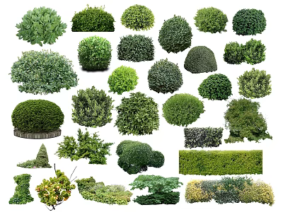 Diverse Arbor Trees with Pruned Shapes and Natural Growth and Lush Green Foliage 3d model