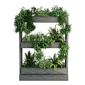 Vertical Garden Decor With Wooden Frame And Lush Green Plant Layers