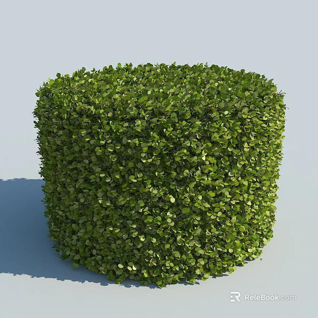 Neatly Trimmed Green Shrub With Lush Foliage And Cube Shape Design 3d model 
