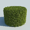 Neatly Trimmed Green Shrub With Lush Foliage And Cube Shape Design
