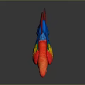 Modern Parrot Xuan Feng Parrot Budgie Shang Parrot 3d model