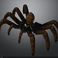 Realistic Brown Spider 3D Model With Textured Body And Long Legs