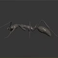 Metallic 3D Ant Sculpture with Long Detailed Legs on Dark Background