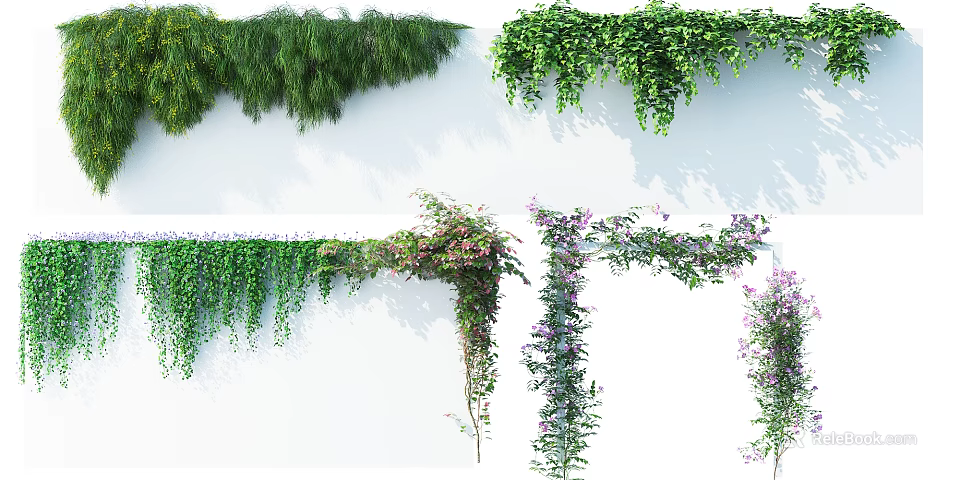 Various Types of Green Leaf Vines With Purple Flowers Climbing And Hanging On White Wall 3d model 