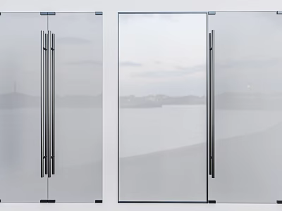 Modern Frosted Glass Double Doors With Metal Handles And Sea View Interior 3d model