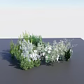 Elegant Floral Decorative Arrangement With Green Plants White Blooms And Mixed Foliage