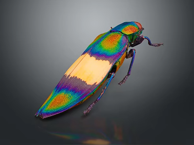 Colorful Iridescent Beetle With Green Blue Yellow Purple Body And Metallic Sheen On Dark Background 3d model