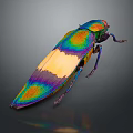 Colorful Iridescent Beetle With Green Blue Yellow Purple Body And Metallic Sheen On Dark Background