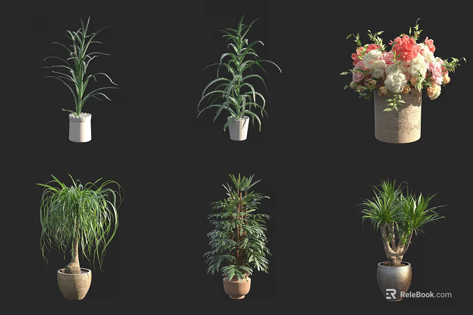 Various Green Leafy Indoor Plants In Different Ceramic And Woven Pots 3d model 