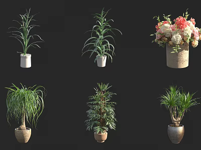 Various Green Leafy Indoor Plants In Different Ceramic And Woven Pots 3d model