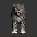 Modern Leopard Snow Leopard 3d model