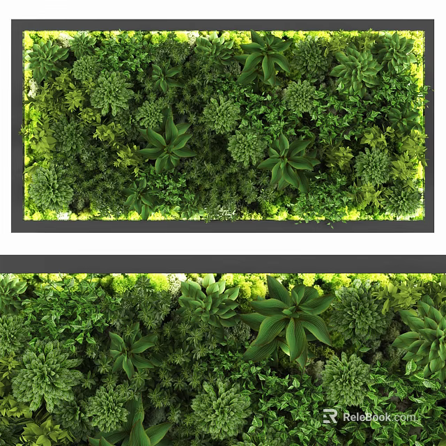 Living Green Plant Wall Featuring Lush Foliage And Various Species For Interior Design 3d model 