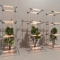 Modern Floral Installation with Metal Frames Illuminated Lighting and Green Plants