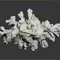 White Branching Coral As Aquatic Animal Habitat With Delicate Structure And Marine Setting