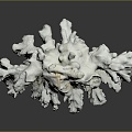 Modern Coral Red Coral White Coral Blue Coral 3d model