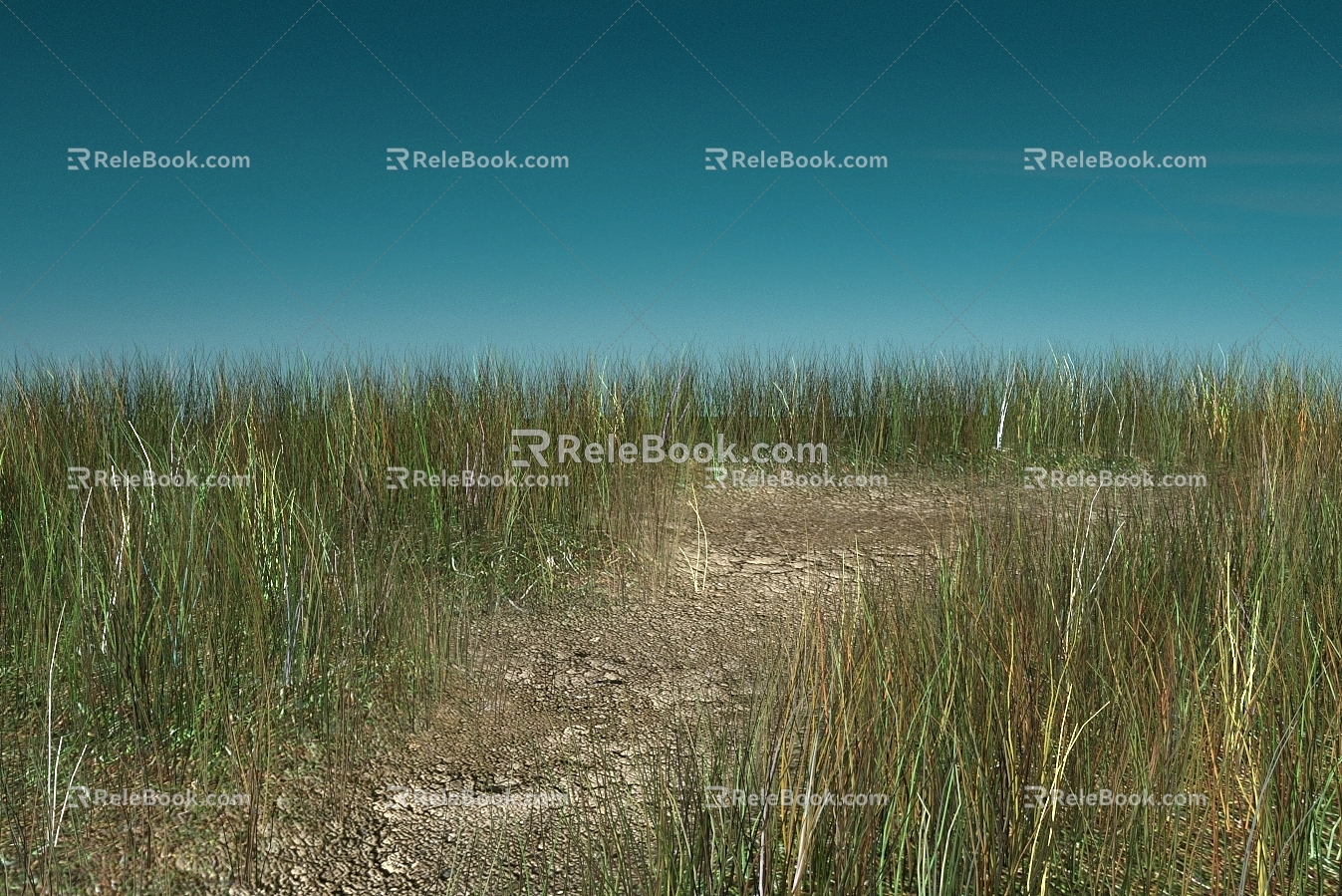 Nature Landscape Meadow Night Sky 3d model