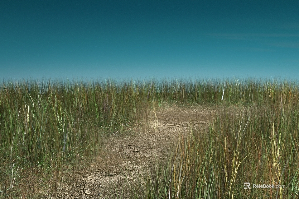 Scenic Landscape With Tall Grass Dirt Path And Clear Blue Sky 3d model 