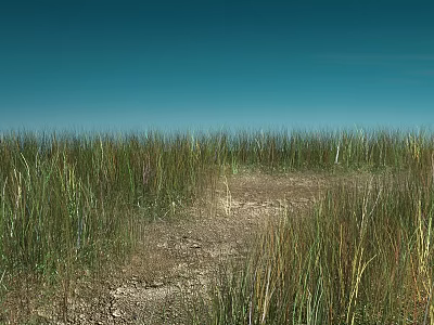Scenic Landscape With Tall Grass Dirt Path And Clear Blue Sky 3d model