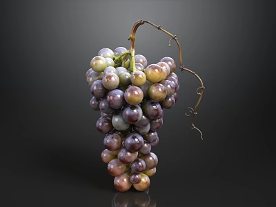 Fresh Juicy Ripe Purple And Green Grapes Bunch On Black Background With Vine 3d model