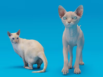 Two Reptiles Standing On Blue Background With Alert Eyes And Smooth Skin 3d model