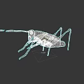 Detailed Yellow And Black Grasshopper With Long Antennae On Dark Background