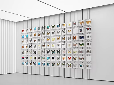 Various Butterfly Specimens Neatly Arranged On White Wall Interior Display Setting 3d model