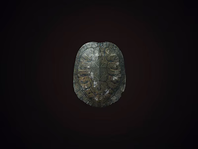 Detailed Natural Turtle Shell With Intricate Patterns On Dark Background 3d model