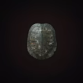 Detailed Natural Turtle Shell With Intricate Patterns On Dark Background