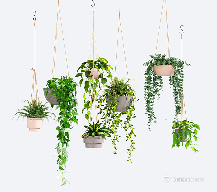 Various Hanging Indoor Plants With Lush Green Foliage And Decorative Planters 3d model 
