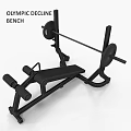 Professional Weight Bench With Barbell And Weight Plates For Fitness Training
