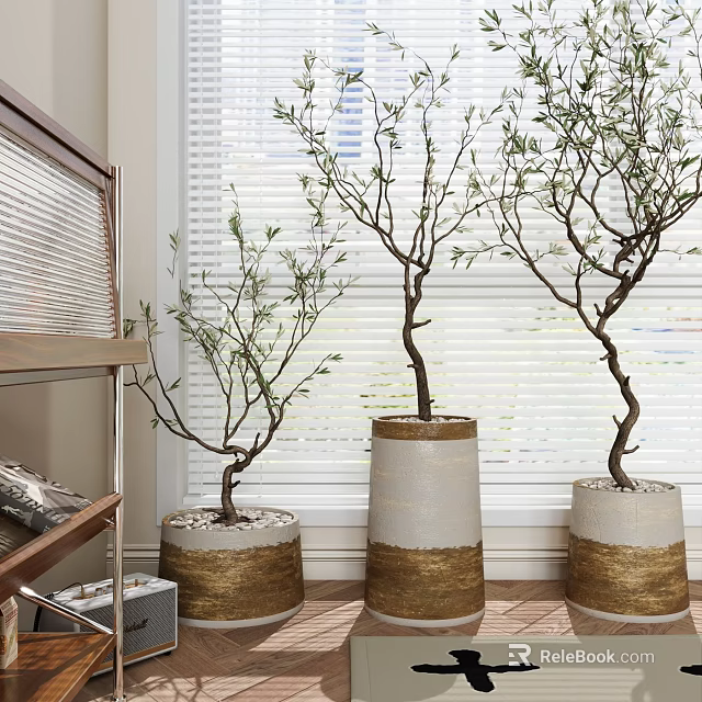 Bonsai Plants in White and Gold Cylindrical Pots Indoor with Window Blinds 3d model 