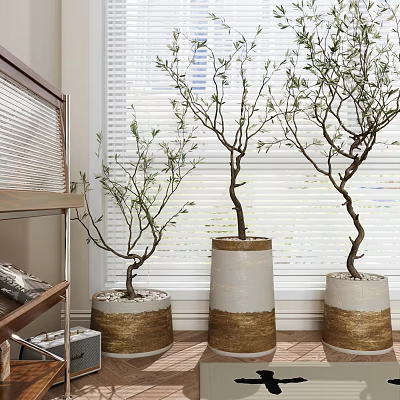 Bonsai Plants in White and Gold Cylindrical Pots Indoor with Window Blinds 3d model
