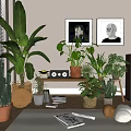 Potted Plants in Indoor Living Space with Window Blinds Wall Art Table Speakers and Magazines