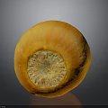Fresh Ripe Orange Fruit Cut Open Revealing Seed Filled Interior On Dark Surface