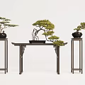 Traditional Chinese Bonsai Pine Trees on Carved Wooden Table and Pedestals with Black Pots