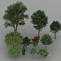 Arbor Trees Various Types With Different Shapes And Lush Green Foliage Collection 3d model