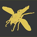 Brown Fly with Yellow and Black Abdomen Transparent Wings and Orange Legs on Dark Background