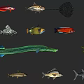 Colorful Aquatic Animals Featuring Various Fish And Marine Creature Types