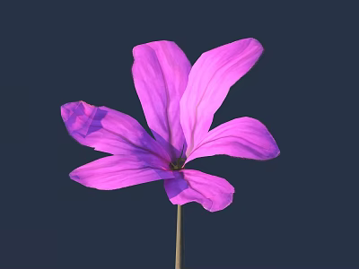 Vibrant Purple Flower With Delicate Petals On Single Stem Against Dark Background 3d model