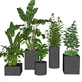 Various Green Potted Plants in Gray Concrete Square and Cylindrical Pots