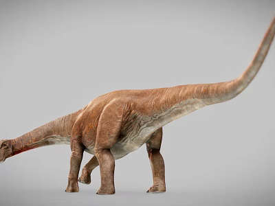Realistic Dinosaur 3D Render With Long Neck Tail Brown Skin Anatomical Details And Standing Pose 3d model