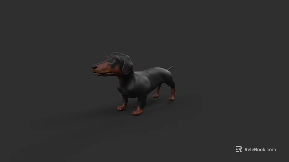 Realistic 3D Model of Dachshund Dog in Standing Pose with Dark Background 3d model 