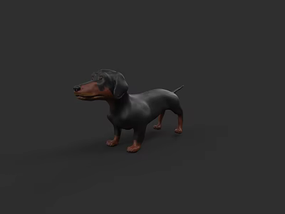 Realistic 3D Model of Dachshund Dog in Standing Pose with Dark Background 3d model