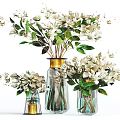 White Flowers with Green Leaves in Decorative Vases Featuring Golden Rims and Transparent Bodies