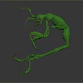 Green Biomorphic 3D Model With Twisted Limbs Sci Fi Inspired On Gray Background 3d model