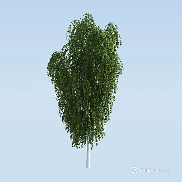 Willow Tree With Green Hanging Branches And Lush Foliage Against Blue Sky 3d model 