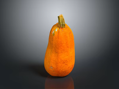 Fresh Orange Pumpkin as Healthy Food Ingredient for Home Cooking Recipes 3d model